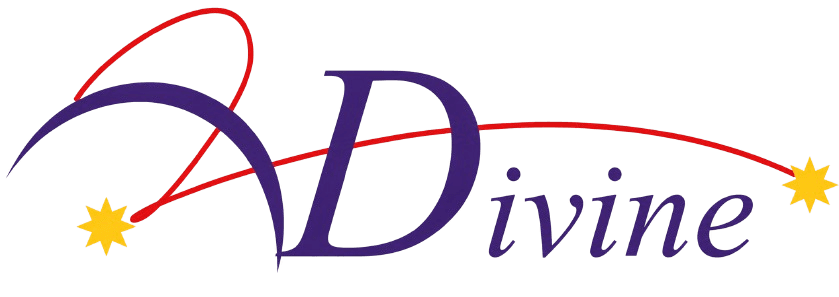 Divine Meditech Logo